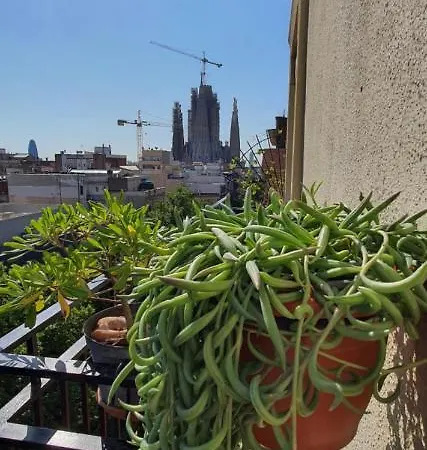 Appartement Lovely & Sky View Sagrada Familia